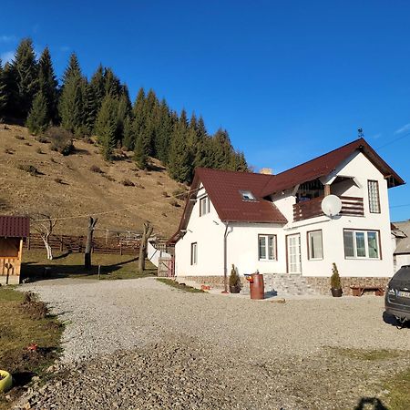Casa Abp Villa Vatra Dornei Exterior foto
