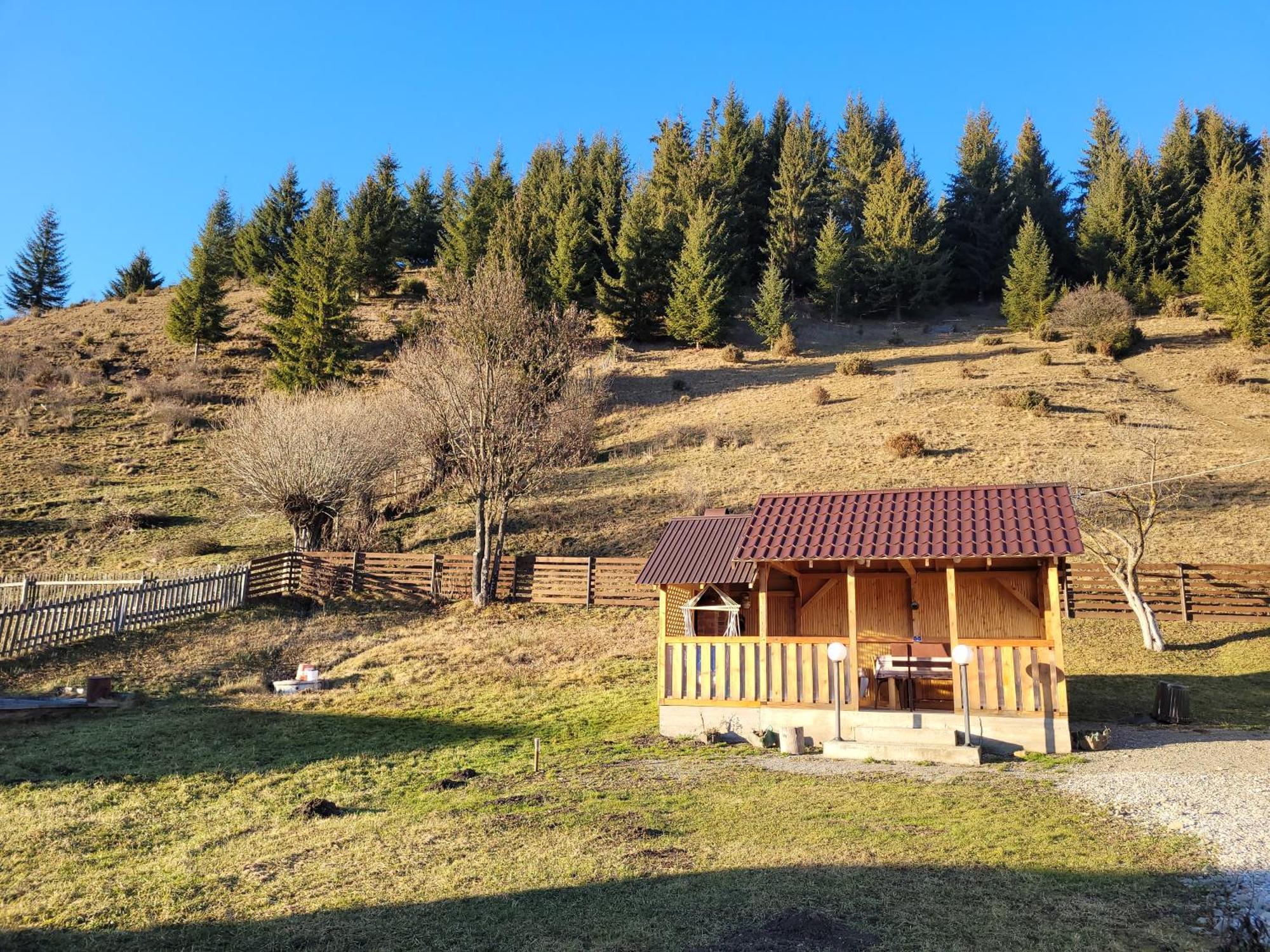 Casa Abp Villa Vatra Dornei Exterior foto