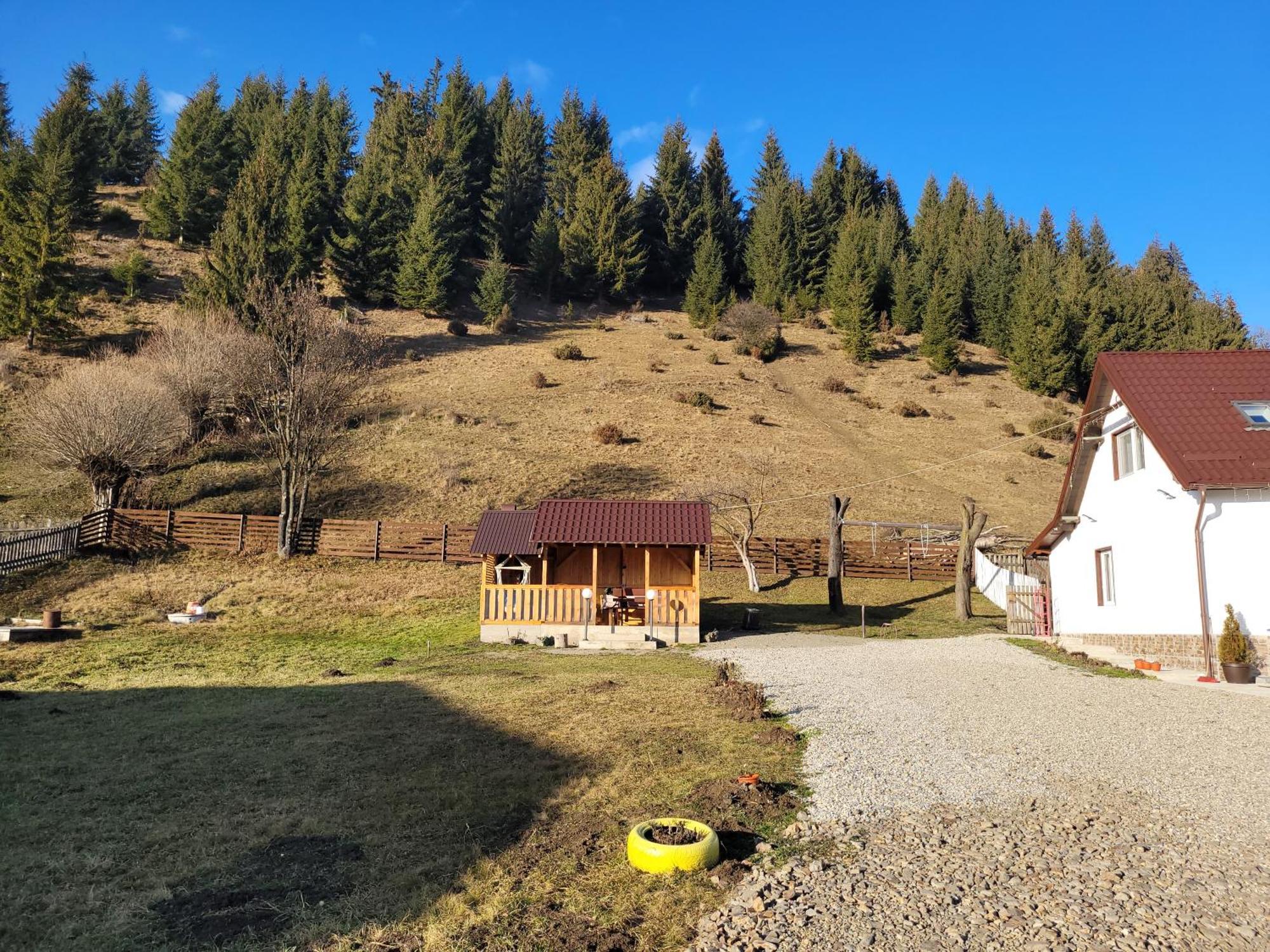 Casa Abp Villa Vatra Dornei Exterior foto
